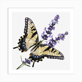 Butterfly On Lavender 1 Art Print