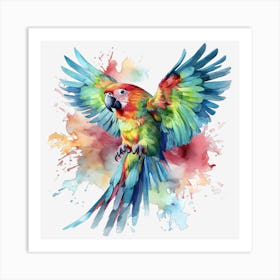 Colorful Parrot 20 Póster