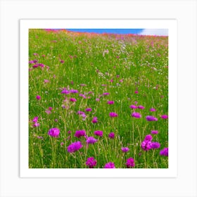 Wildflowers In The Meadow Art Print