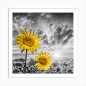 Focus On Two Sunflowers Art Print