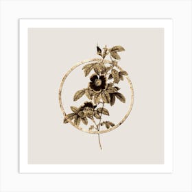 Gold Ring Single May Rose Glitter Botanical Illustration n.0217 Art Print