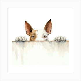 Bull Terrier 4 Art Print