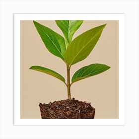 Small Plant In A Pot 1 Art Print