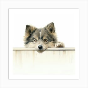 Husky Dog 7 Art Print