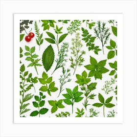 Seamless Pattern Of Herbs 5 Art Print