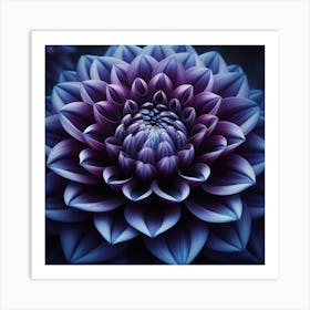 Purple Dahlia Art Print