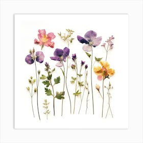 Dried Wild Flowers 15 Art Print