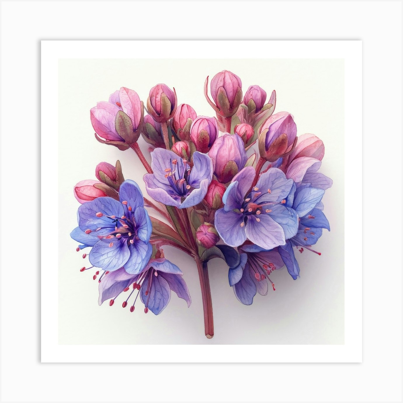 Wisteria Flower Art Print by Aloke Design