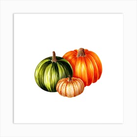 Three Pumpkins Art Print