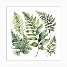 Green fern 5 Art Print