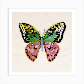 Butterfly In Green And Purple Art Print
