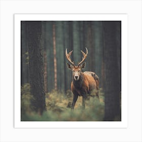 Deer In The Forest 2 Art Print