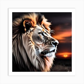 Lion At Sunset 13 Art Print