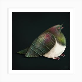 Bird kereru Art Print
