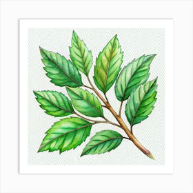 Branch Of Green Leaves With Detailed Veins 1 Art Print