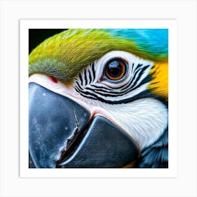 Vibrant Vigilance: A Macaw’s Gaze Art Print