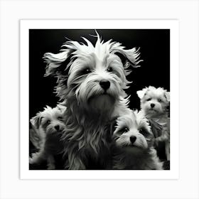 Black And White Dogs 1 Art Print