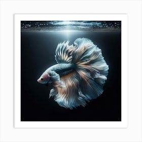 Siamese Fighting Fish Art Print