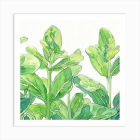 Sage Leaf 1 Art Print