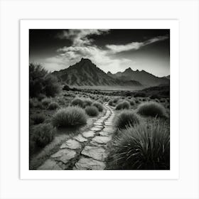 Path In The Desert Art Print