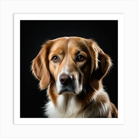 Golden Retriever Portrait Art Print