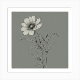 Flower Drawing Art Print