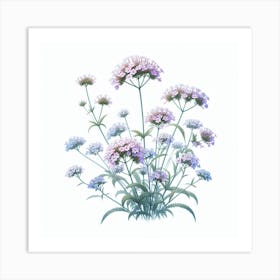 Flower of Verbena 3 Art Print