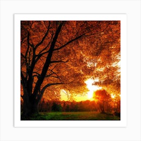 Autumn Trees In The Park Art Print