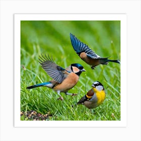 Bird Natural Wild Wildlife Tit Sparrows Sparrow Blue Red Yellow Orange Brown Wing Wings (40) Art Print
