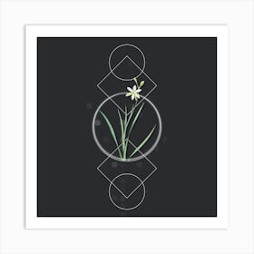 Vintage Ixia Anemonae Flora Botanical with Geometric Line Motif and Dot Pattern n.0259 Art Print