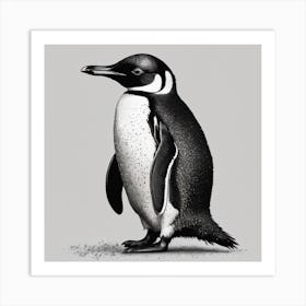 Penguin Art Print