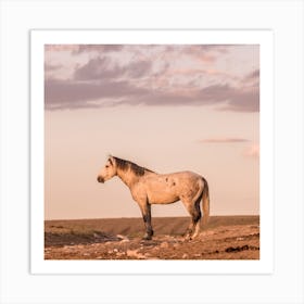 Wild Horse Sunset Square Art Print