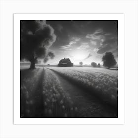 Black And White Photography 1 Art Print