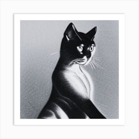 Siamese Cat Art Print