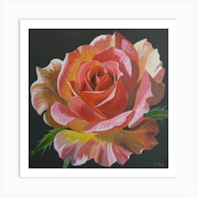 Rose Art Print