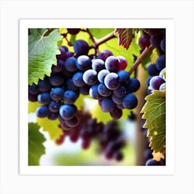 Grapes On The Vine 46 Art Print