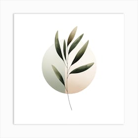 Olive Branch Art Print