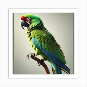 Parrot On A Branch 6 Art Print