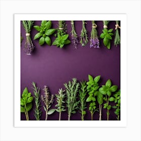 Fresh Herbs On Purple Background Art Print