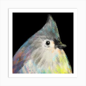 Tufted Titmouse Bird Art Print
