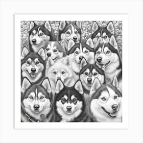 Husky Dogs Art Art Print