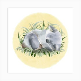 Koala 1 Art Print