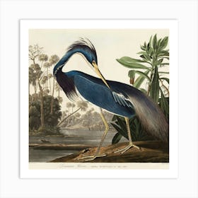 Blue Heron 1 Art Print