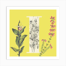 Botanical I Art Print