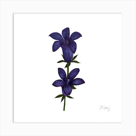 Double Purple Flower 2 Art Print