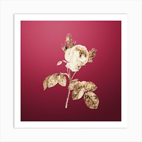 Gold Botanical Pink Cabbage Rose on Viva Magenta n.1728 Art Print