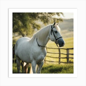 White Horse Standing In A Field Art Print