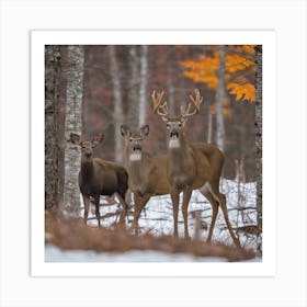 Whitetail Deer 1 Art Print