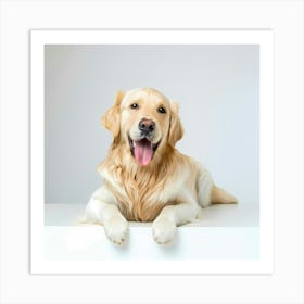 Golden Retriever Dog Art Print