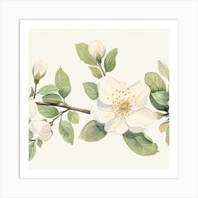 White Blossoms On A Branch Art Print